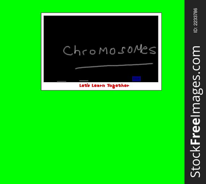 Chromosomes Illustrtion
