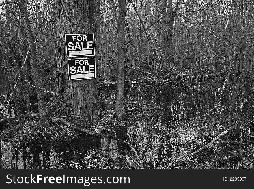 Very wet swampland in Southren Ontario, Canada, for sale. Taken in the early spring. Black and White image. Very wet swampland in Southren Ontario, Canada, for sale. Taken in the early spring. Black and White image.