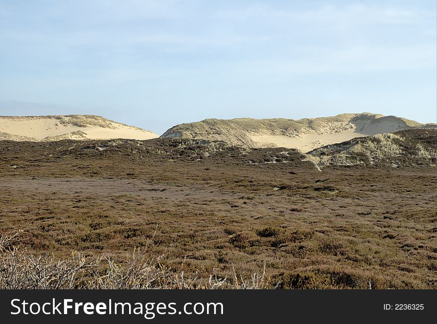 Dunescape Sylt 4