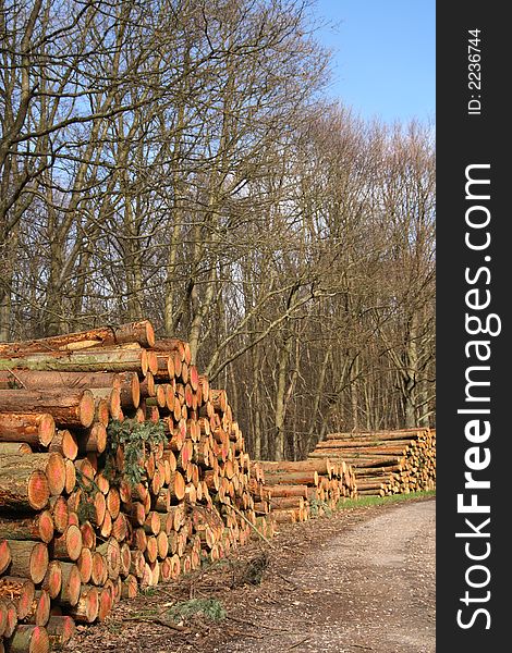 Man-made stack of logs