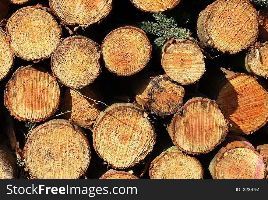 Stack Of Logs