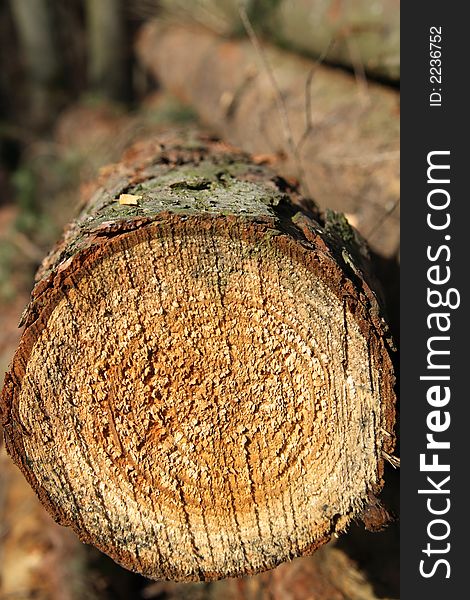 Stack Of Logs