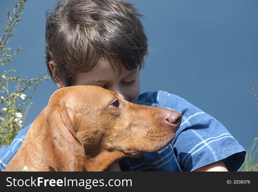 Young boy with his beloved Hungarian vizsla pointer at rest in the open. Young boy with his beloved Hungarian vizsla pointer at rest in the open.
