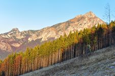 Autumn Tree Line With Rocky Mountain Royalty Free Stock Photography Autumn Tree Line With Rocky Mountain Royalty Free Stock Photography