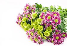 Bouquet Of Chrysanthemums Stock Photography Bouquet Of Chrysanthemums Stock Photography