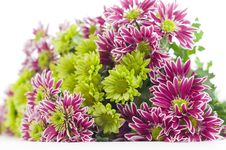 Bouquet Of Chrysanthemums Blur Royalty Free Stock Photos Bouquet Of Chrysanthemums Blur Royalty Free Stock Photos