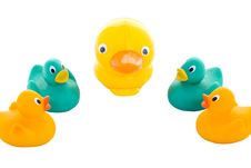 Toy Ducks Stock Images