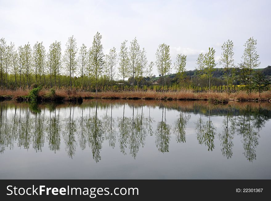 Tree reflections in a river in france. Tree reflections in a river in france