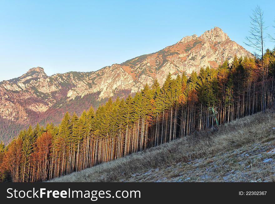 Autumn tree line with rocky mountain