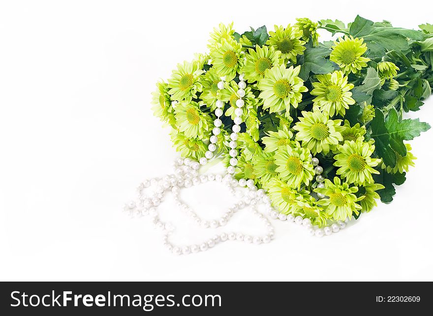 Bouquet of green chrysanthemums with Pearl necklace on a white background. Bouquet of green chrysanthemums with Pearl necklace on a white background