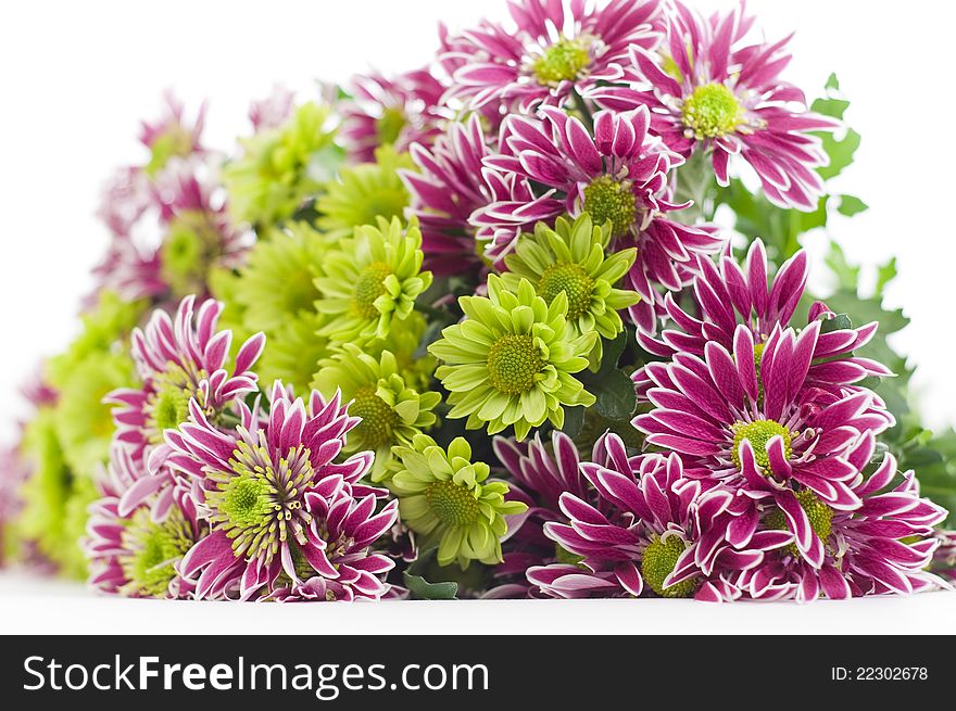 Bouquet of pink and green chrysanthemums on a white background. Bouquet of pink and green chrysanthemums on a white background