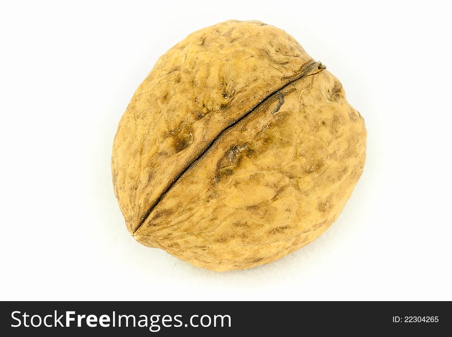 Walnut (Juglans regia) on a white background, isolated