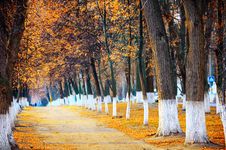 Autumn Park Stock Photo Autumn Park Stock Photo