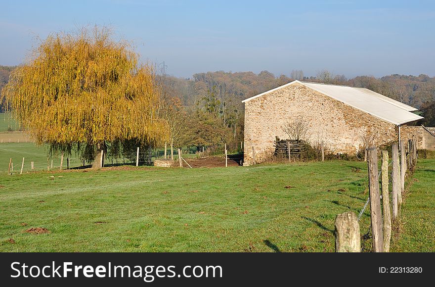 Weeping willow in the garden of a stone farmhouse in the countryside. Weeping willow in the garden of a stone farmhouse in the countryside