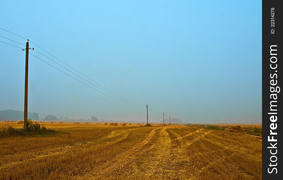 Morning landscape with telegraph poles