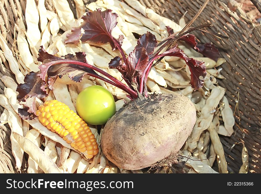 Beet, corn, two tomatoes and dried beans sitting in a basket. Beet, corn, two tomatoes and dried beans sitting in a basket