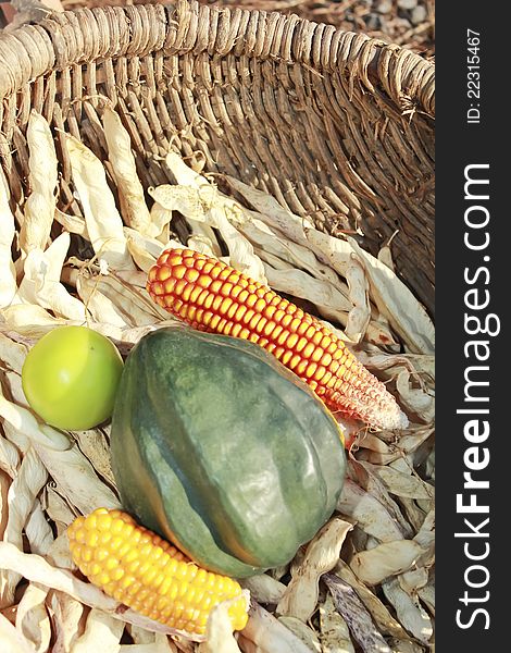 Corn, green tomato, dried beans sitting in a basket. Corn, green tomato, dried beans sitting in a basket