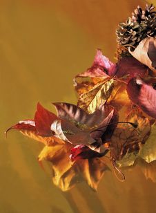 Leaves And Pine Cones On Gold Paper Royalty Free Stock Image Leaves And Pine Cones On Gold Paper Royalty Free Stock Image