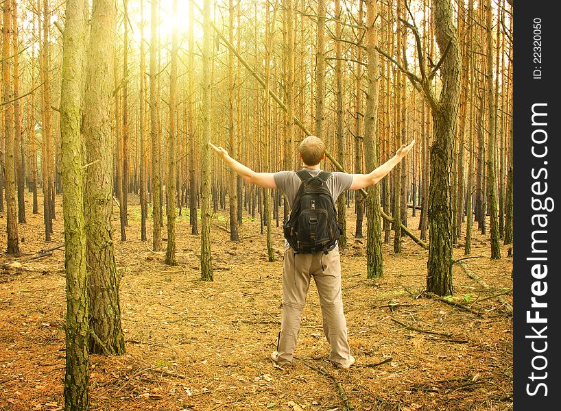 Young Man Standing In The Forest