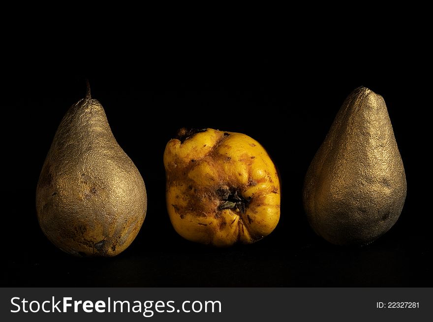 Closeup with golden pears and quince studio isolated for christmas decorations. Closeup with golden pears and quince studio isolated for christmas decorations