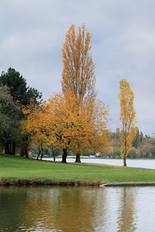 Autumn Trees Near The Lake Stock Images Autumn Trees Near The Lake Stock Images