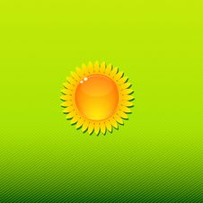 Sunny Background Green Stock Photos Sunny Background Green Stock Photos