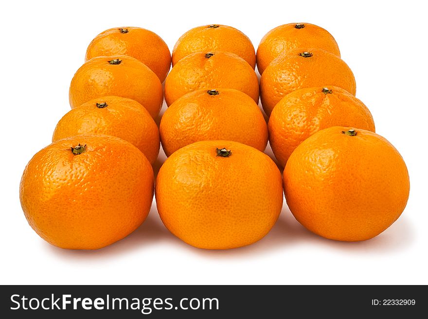Tangerines rows against white background