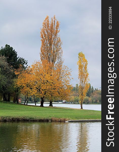 Autumn in the park: golden trees near the lake. Autumn in the park: golden trees near the lake.
