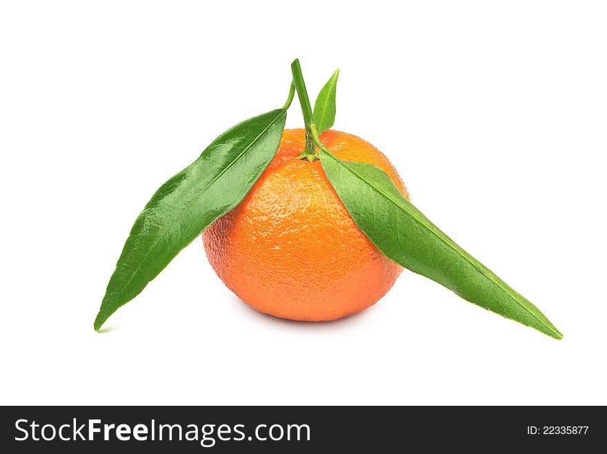 Tangerine with leaves on a white