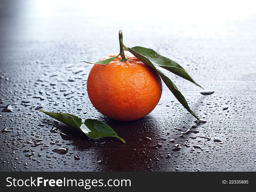 Tangerine with leaves on dark background