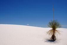 White Sand, New Mexico Royalty Free Stock Photo White Sand, New Mexico Royalty Free Stock Photo