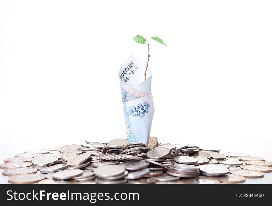 Green sprout, banknotes and coins on white background. Green sprout, banknotes and coins on white background