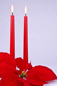 Red Christmas Candles And Poinsettia Stock Photo Red Christmas Candles And Poinsettia Stock Photo