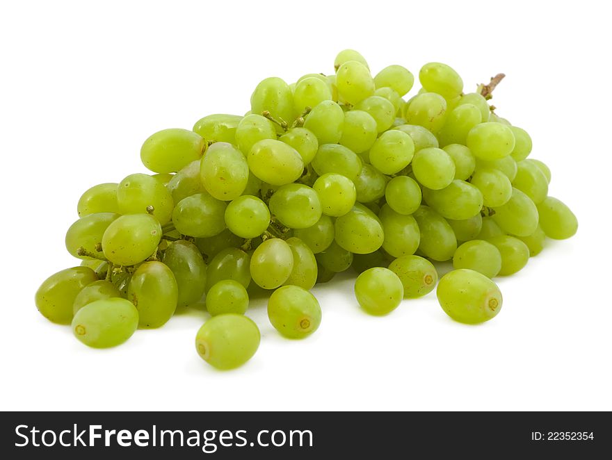 Branch of green vine with berries on a white background. Branch of green vine with berries on a white background