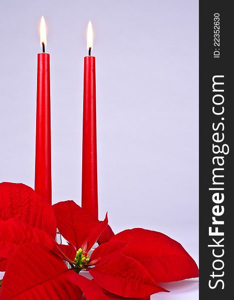 Red Christmas Candles and Poinsettia