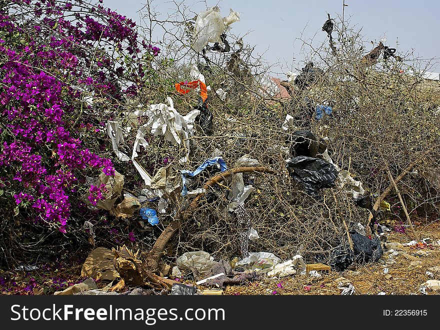 Plastic bags hung on shrubs. Plastic bags hung on shrubs