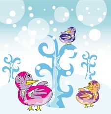 Funny Birds In Winter Garden Stock Photos Funny Birds In Winter Garden Stock Photos