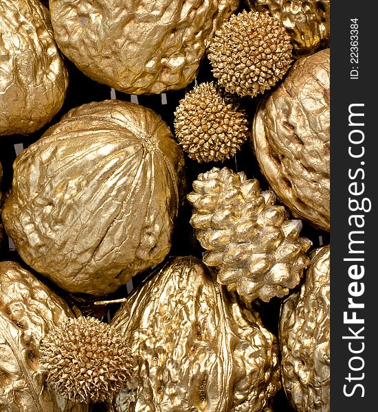 Big golden walnuts and cone close-up