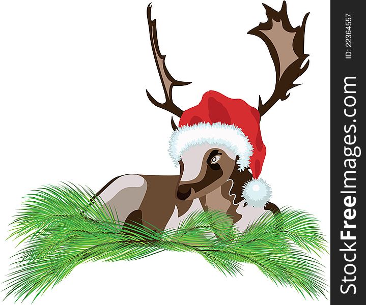 Deer wearing a Santa Claus hat sitting on the pine branches