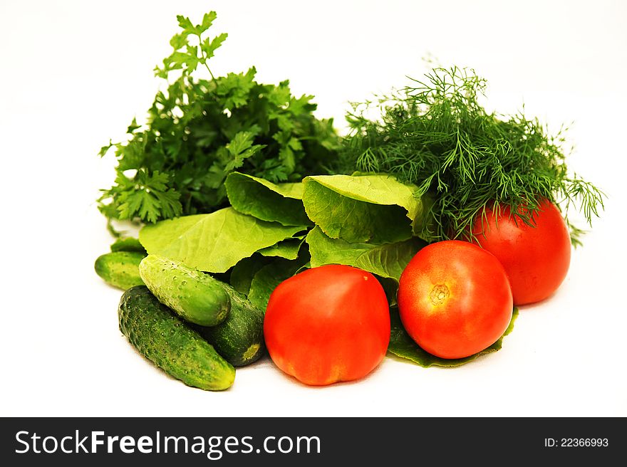 Vegetables, tomatoes, cucumbers, salad, parsley, fennel on a white background