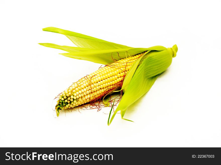 Corn on a white background