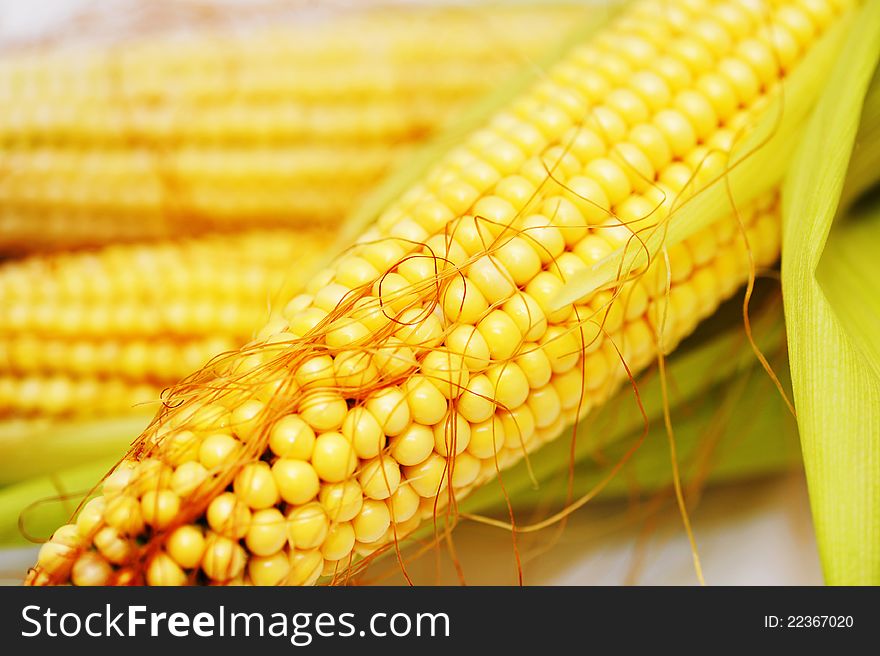 Corn largely, ripe, juicy three ears