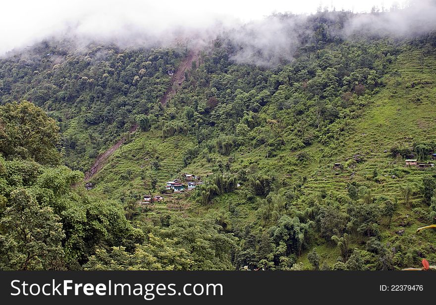 Rain forest covering mountains in Sikkim, India