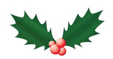 Holly Leaves And Berries Stock Image Holly Leaves And Berries Stock Image
