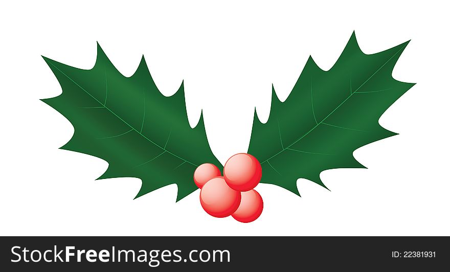 Vector illustration of a couple holly leaves with berries. Vector illustration of a couple holly leaves with berries.