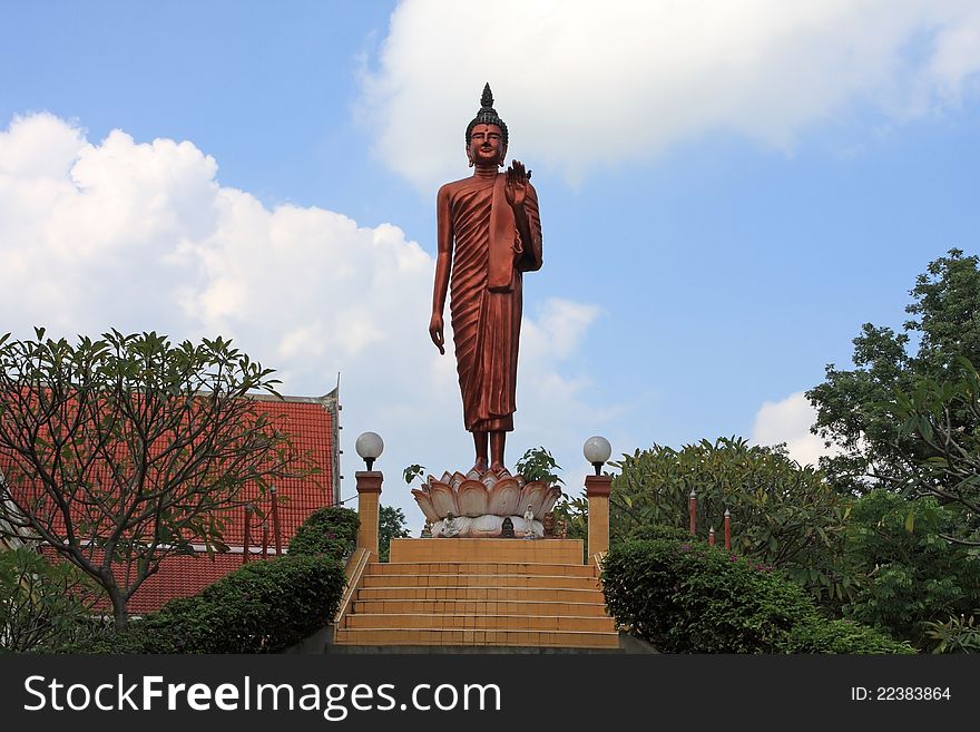 Buddha Standing Image