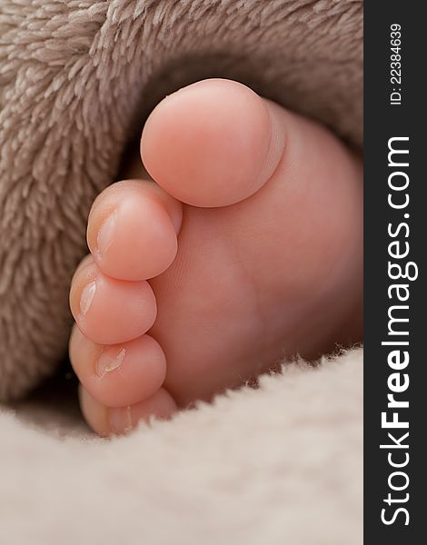 Close up of a baby foot under soft blanket