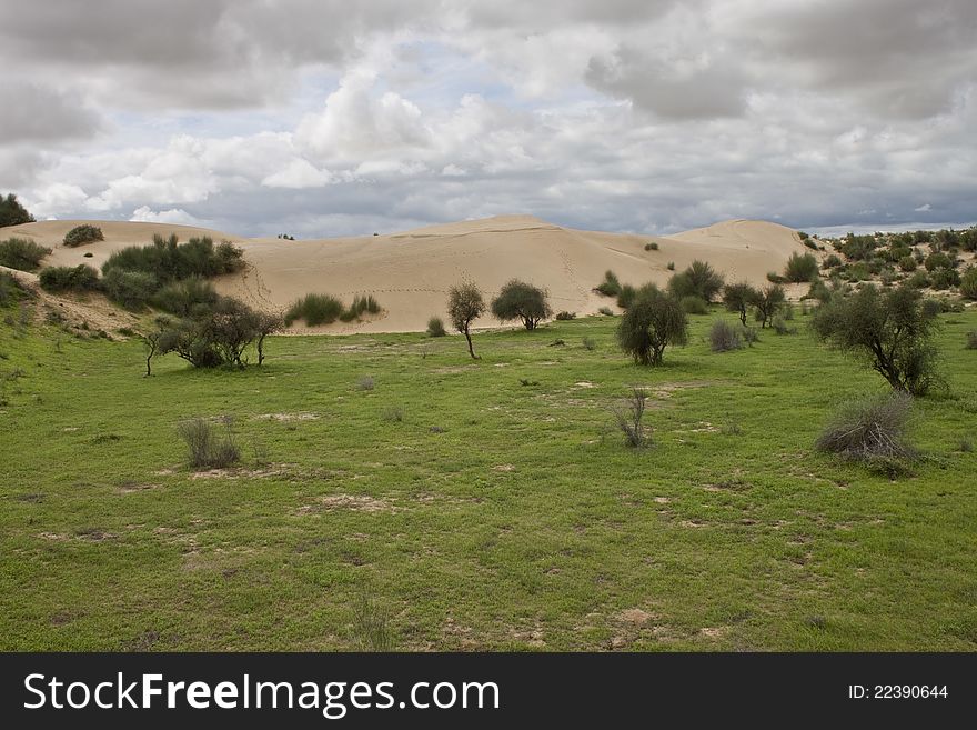 Sand dunes at Thar desert, India