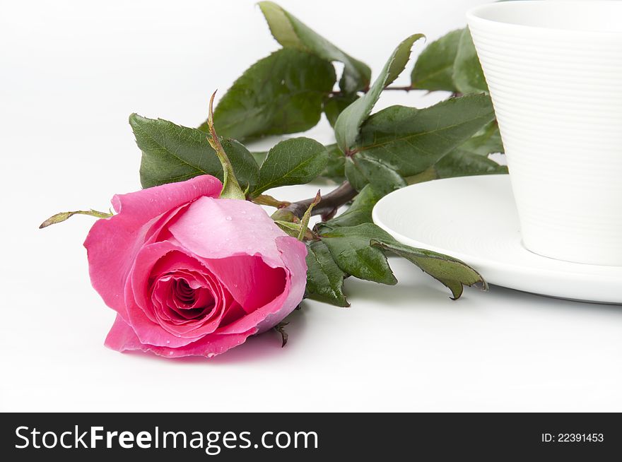 Bouquet of delicate pink roses in a cup on the table