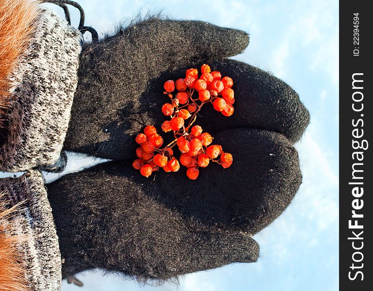 Mountain ash berries in mittens